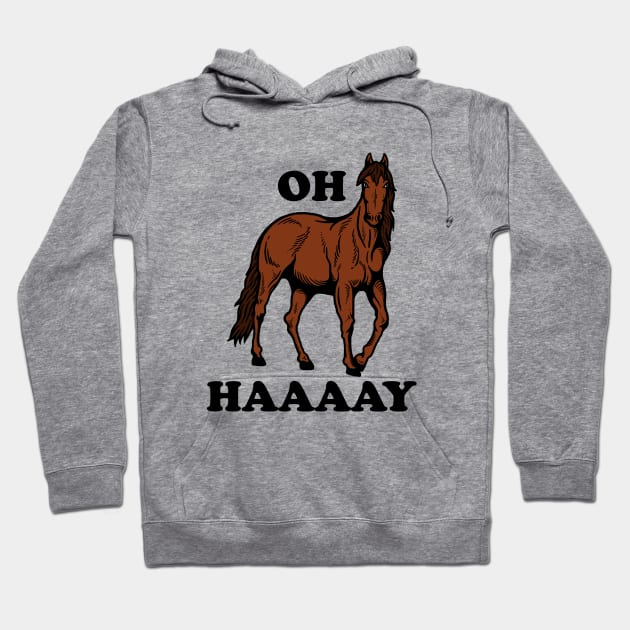 Oh Haaaay Hoodie by dumbshirts